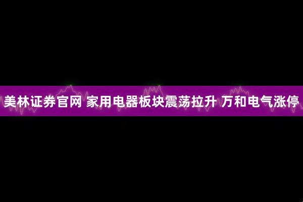 美林证券官网 家用电器板块震荡拉升 万和电气涨停